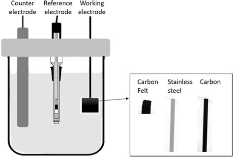 Electrochemical Cell Setup With Three Type Of Electrode I Counter