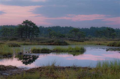 EU Parliament Adopts Nature Restoration Law