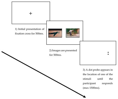 An Example Of The Three Stages Of The Dot Probe Task In The Neutral