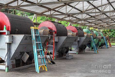 Coffee Processing Plant 1 By Jim Westscience Photo Library