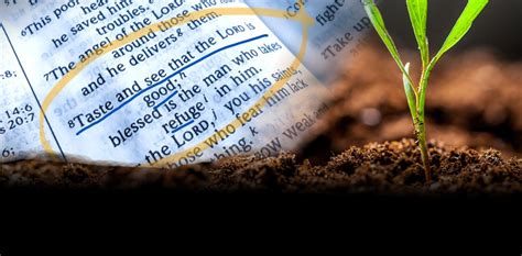 bible reading central church