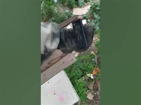 он сын литвина - YouTube