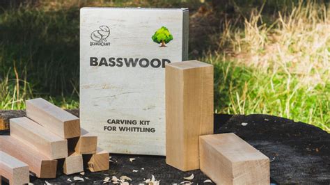 What is the Hardest Wood for Carving? – BeaverCraft Tools