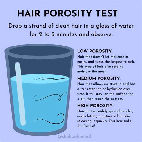 How To Determine Your Hair Porosity Cliphair Us Hair Blog Blog