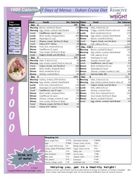 Dr Nowzaradan Diet Plan Printable Food List