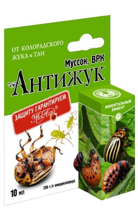 Золотая сотка алтая