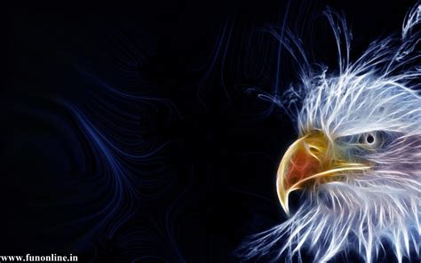 American Eagle Desktop Wallpaper - WallpaperSafari