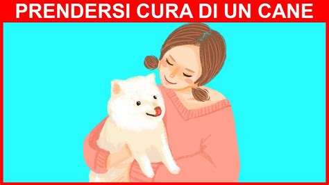 Modi Essenziali Per Prenderti Cura Del Tuo Amato Cane Youtube