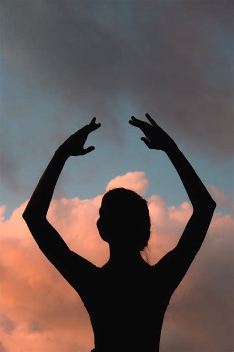 10,000+ Best Silhouette Photos · 100% Free Download · Pexels Stock Photos 