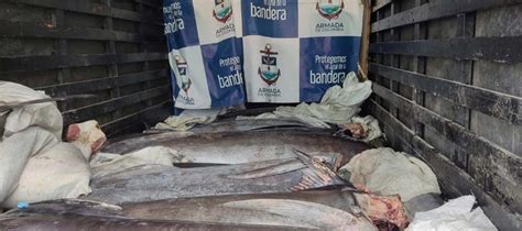 Interceptan dos lanchas de pesca ilegal en el Pacífico Nariñense