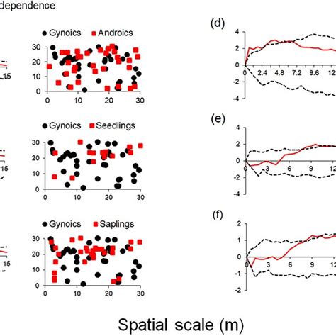 Sex Spatial Correlation Pattern Of A Adstringens Derived From The Download Scientific Diagram