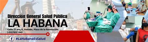 Organigrama Dirección General De Salud Pública De La Habana