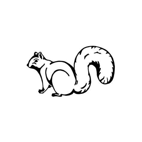 Squirrel Vinyl Decal Sticker V10 Decalshouse