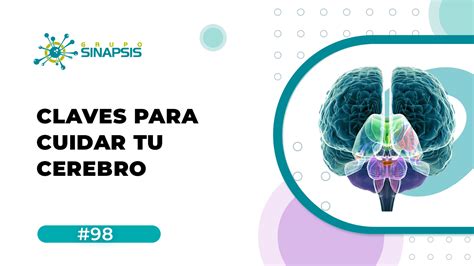 Claves Para Cuidar Tu Cerebro