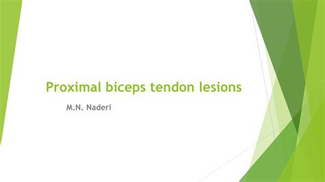 PDF Proximal Biceps Tendon Lesions Shoulderdoc Ir DOKUMEN TIPS