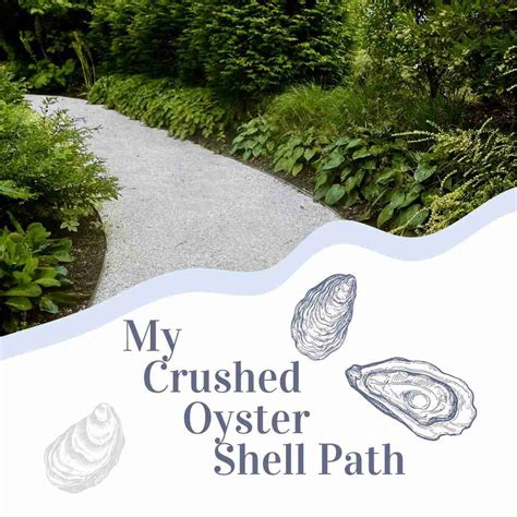 My New Sustainable Coastal Crushed Oyster Shell Garden Path Gal Pal Lifestyle