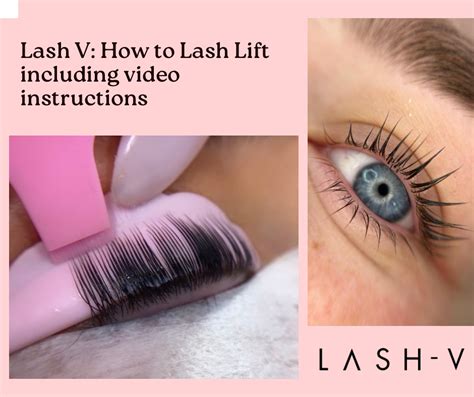 Lash V Blogs Lash V