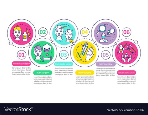 Plastic Surgery Sub Specialties Infographic Vector Image