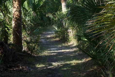 Little Talbot Island State Park