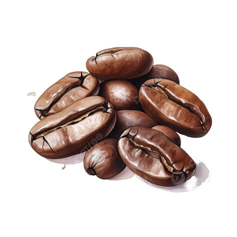 Coffee Bean Illustration Coffee Cafe Drink Png Transparent Image And