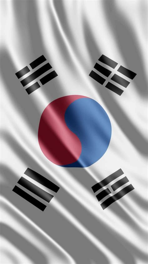 Waving Flag Of South Korea Waving Flag Free Video 24141388 Stock Video