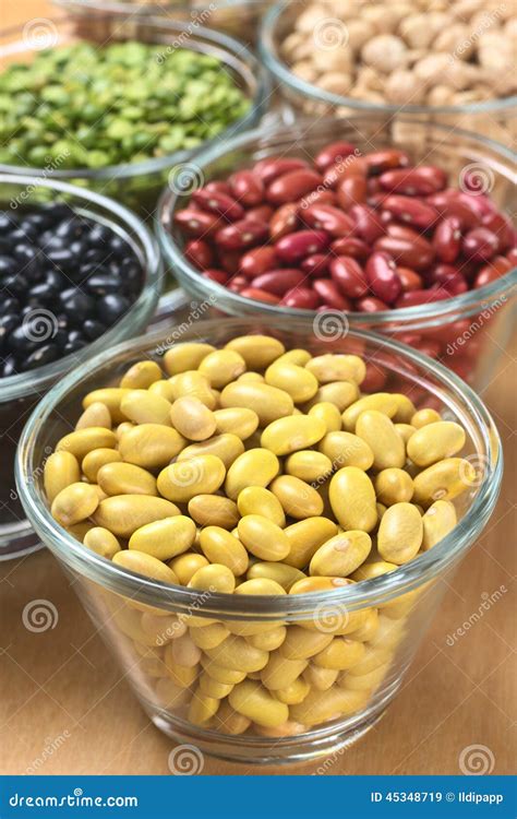 Dried Legumes Stock Photo Image 45348719