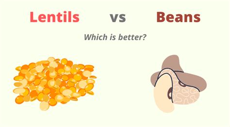 Lentils Vs Beans Comparing Gas Protein And Nutrition