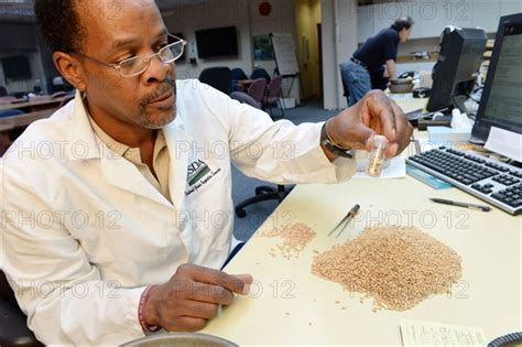 A U S Department Of Agriculture USDA Grain Inspection Photo12 UIG