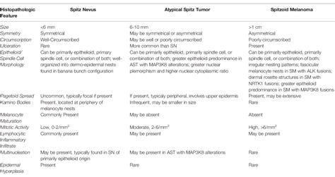 Table 2 From The Spectrum Of Spitz Melanocytic Lesions From Morphologic Diagnosis To Molecular