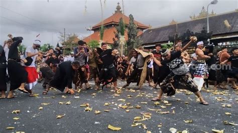 Ritual Perang 15 Ribu Ketupat Di Desa Kapal Memohon Kemakmuran Kepada