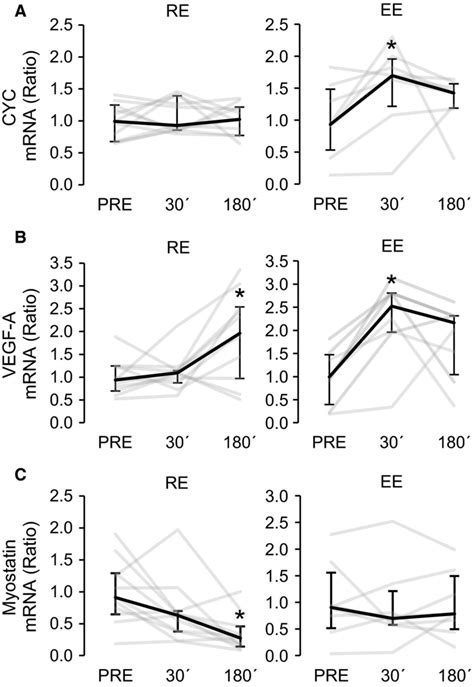 Gene expression changes of known PGC 1α target genes cytochrome C A