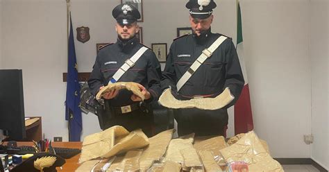 Nascondeva In Casa 25 Kg Di Cocaina Arrestato Dai Carabinieri