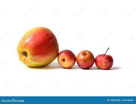 Four Apples Stock Photo Image Of Apple Fruit Domestic 72812246