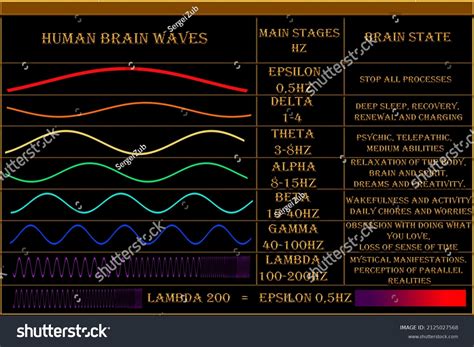 Human Brain Waves Basic Levels Brain Stock Illustration