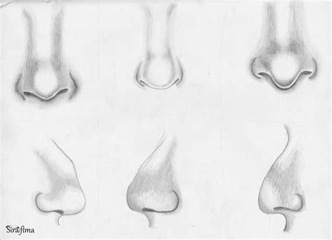 Graphite 16 Nose Study By Sirafima On Deviantart