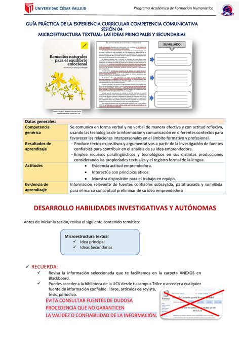 S Material Informativo Gu A Pr Ctica Ii Gu A Prctica De