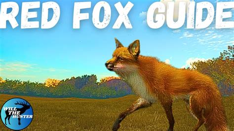 Hirschfelden Red Fox Guide TheHunter Call Of The Wild 2023 YouTube