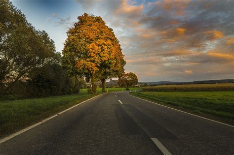 Tombe Feuilles La Nature Photo Gratuite Sur Pixabay Pixabay