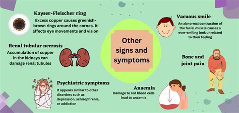 Wilsons Disease When The Body Amasses Copper Happiest Health
