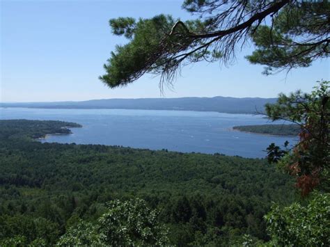 Trees At The Lakeside Great Sacandaga Lake Adirondack Mountains New