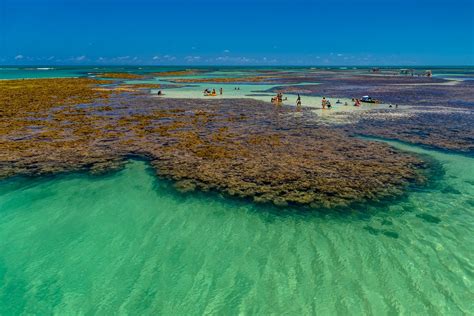 Em Jo O Pessoa Piscinas Naturais De Guas Cristalinas E Corais S O