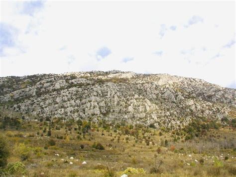 Ученическа екскурзия на Драгоманското блато