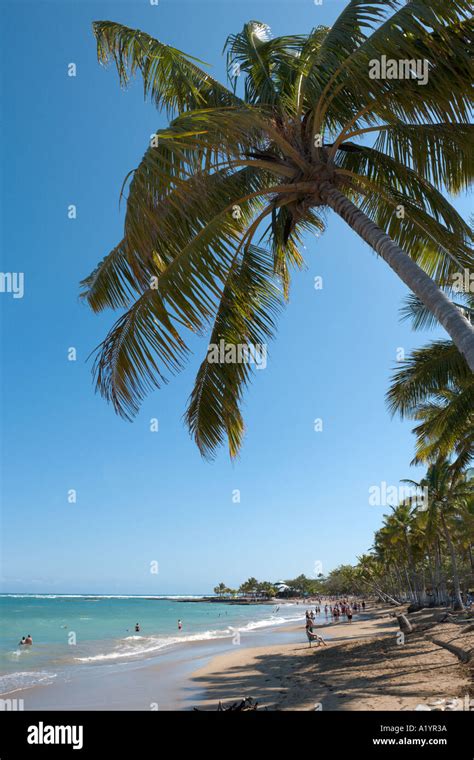 Playa Dorada Dominican Republic Stock Photos And Playa Dorada Dominican