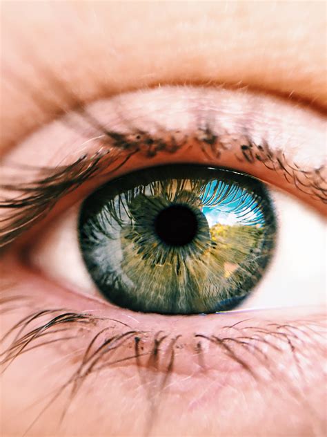 Tipos de ojos cómo identificarlos Oftalmología Laser