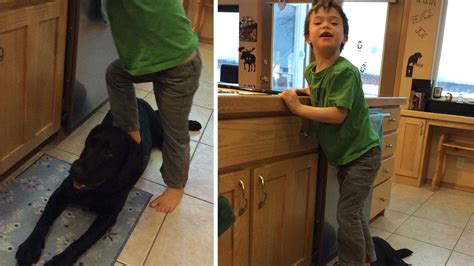 PHOTOS: Sarah Palin's son, Trig, standing on dog's back - ABC11 Raleigh ...