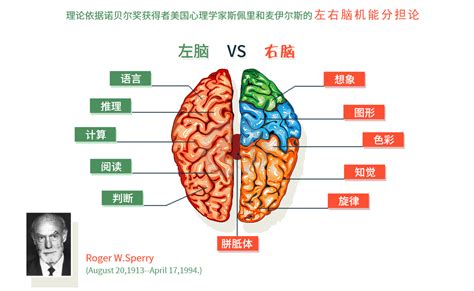 课程来源 品牌优势，让孩子赢在起跑线