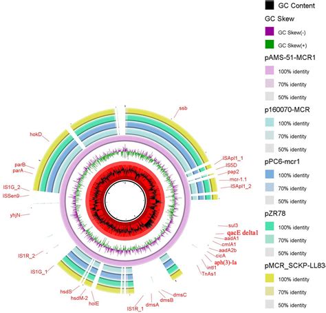 Frontiers Complete Genome Sequences Of Two Escherichia Coli Clinical