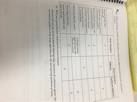 POGIL Responses For Studying Cell Membrane Structure And Function