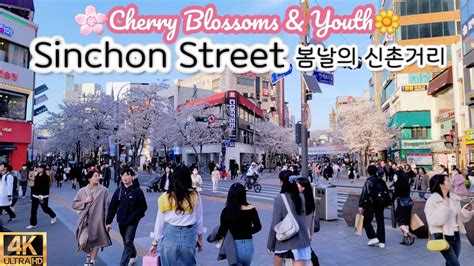 Seoul Korea Spring Day Sinchon Street Scene And Cherry Blossom 벚꽃이