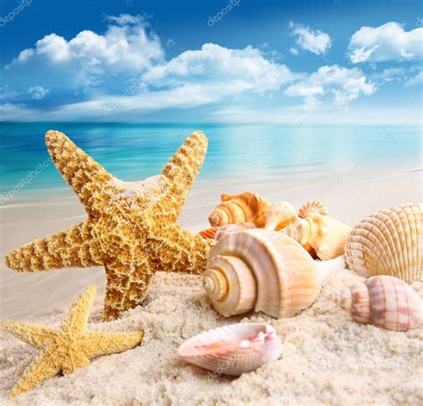 Starfish and seashells on the beach — Stock Photo © Sandralise #6082755